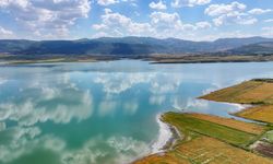 Diyarbakır'da ekili araziler sular altında, çiftçiler