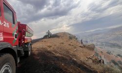Diyarbakır'daki Yangınlar Söndürüldü