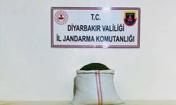 Diyarbakır'da uyuşturucu operasyonu: 10 şüpheliye işlem