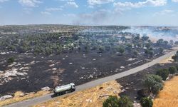 Diyarbakır'ın Eğil ilçesinde çıkan örtü yangını söndürüldü