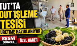 Tut'ta Dut İşleme Tesisi Üretime Hazırlanıyor