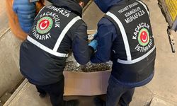 Gümrük Muhafaza'dan Yasa Dışı Maddeye Büyük Darbe