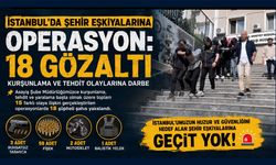 İstanbul'da Şehir Eşkıyalarına Operasyon: 18 Gözaltı