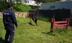 Adıyaman jandarmasının kahraman köpeği Becet emekli oldu