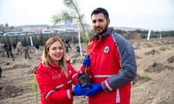 Kızılay'dan Kan Bağışına Fidan Desteği