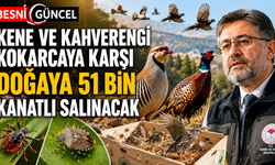 Zararlılara Karşı Keklik ve Sülün Ordusu Görevde
