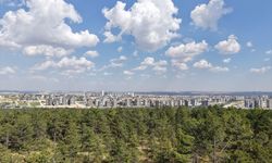 Türkiye'ye İki Yeni Tabiat Parkı Daha Kazandırıldı