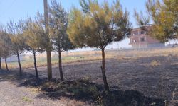 Mardin'deki 8 Yangın Ekiplerin Müdahalesiyle Söndürüldü
