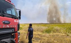 Mardin Kızıltepe'de çıkan yangınlar söndürüldü
