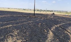 Mardin'de buğday ekili alanda çıkan yangın söndürüldü