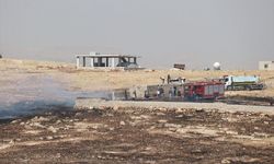 Mardin'de çıkan anız yangınına müdahale ediliyor