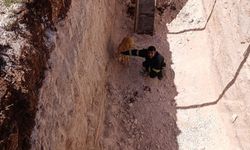 Midyat'ta Çukura Düşen Köpeği İtfaiye Kurtardı