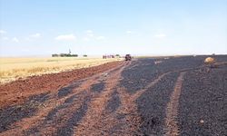 Mardin'de yaklaşık 150 dekar buğday ekili alan yandı
