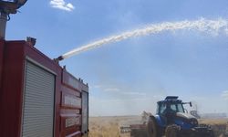 Mardin'de yaklaşık 80 dönüm buğday ekili alan yandı