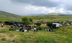 Molikanlar Malatya'da Bir Araya Geldi