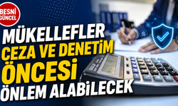 Vergi Denetiminden Önce Riskleri Gösteren Sistem