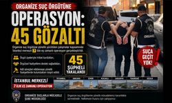 Organize Suç Örgütüne Operasyon: 45 Gözaltı