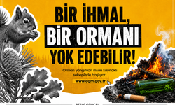 Orman Yangınlarının Yüzde 91'i İnsan Kaynaklı