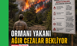 Ormanı Yakanı Ağır Cezalar Bekliyor