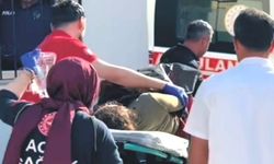 Ot Biçme Makinesine Kolunu Kaptıran Kadın Yaralandı