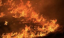 Siverek'te Anız Yakan Şüpheli Gözaltına Alındı