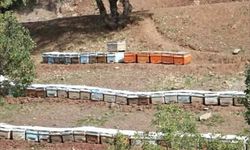 Sason Balında Hasat Öncesi Kapsamlı Kontroller