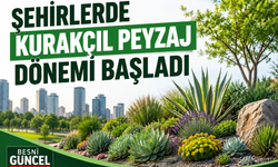 Şehirlerde Kurakçıl Peyzaj Dönemi Başladı