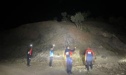Siirt'te kayıp çoban Metin Dizek için arama başlatıldı
