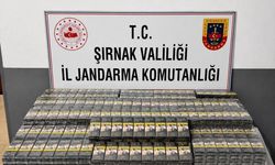 Şırnak'ta büyük operasyon: 103 kişiye adli işlem