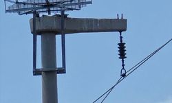 Leylekler için Şırnak'ta elektrik direklerine güvenli