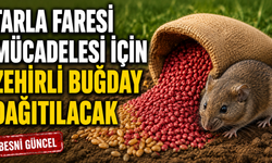 Adıyaman'da Tarla Faresi Mücadelesine Destek Başladı