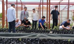 Siirt Üniversitesi fıstıkla hem öğretiyor hem üretiyor