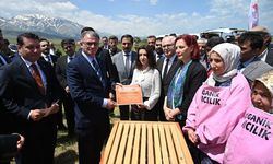 Van'da Bal Üreticilerine Kovan Desteği Başladı