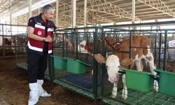 Adıyamanda Ari İşletmelerin Sayısı Artırılacak