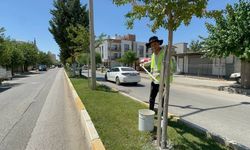 Adıyaman'da Ağaçlar Yaz Korumasına Alındı