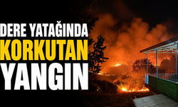 Adıyaman'da dere yatağında korkutan yangın