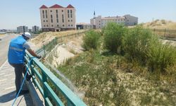 Adıyaman'da Haşereye Karşı Çifte Vardiya