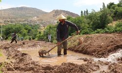 Gercüşlü Çiftçilerden Buğday Sonrası Çeltik Mesaisi