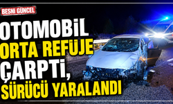 Besni'de Otomobil Refüje Çarptı: Sürücü Yaralandı