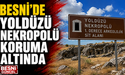Besni'deki Kaya Mezarları Koruma Altına Alındı