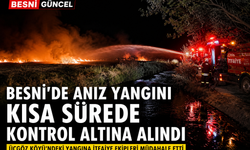 Besni'de Anız Yangını Kısa Sürede Kontrol Altına Alındı