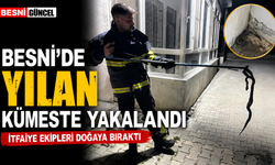 Besni'de bıldırcın kümesine giren yılan yakalandı