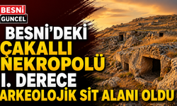 Besni'deki Çakallı Nekropolü Arkeolojik Sit Alanı Oldu