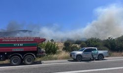 Ayvacık'ta Orman Yangınına Havadan ve Karadan Müdahale