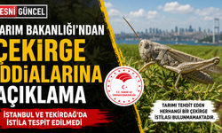 Çekirge İstilası İddialarına Tarım Bakanlığından Açıklama