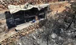Fethiye'de Orman Yangını Sonrası Hasar Tespiti Başladı