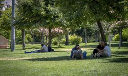 Gaziantep ve Çevresini Sıcak Hava Olumsuz Etkiliyor