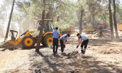Gaziantep'te orman yangını riskine karşı temizlik çalışması yapıldı