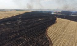 Diyarbakır Çınar'da Anız Yangını Kontrol Altında