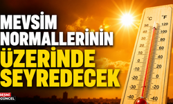 Meteoroloji'den Sıcak Hava Uyarısı